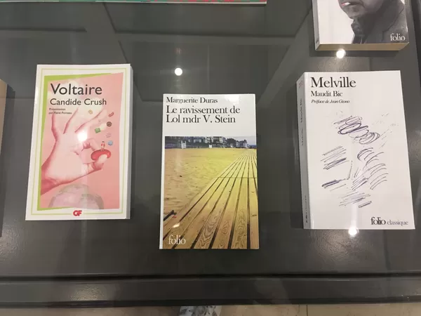 Des livres aux titres bien fendards s'exposent à la médiathèque de Lille