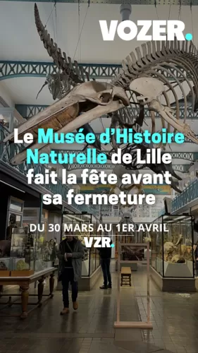 Le Musée d'Histoire Naturelle de Lille fait la fête avant sa fermeture