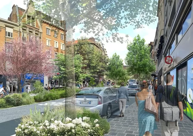 Plus verte, plus cycliste, plus jolie : en 2023, la rue du Molinel va se transformer