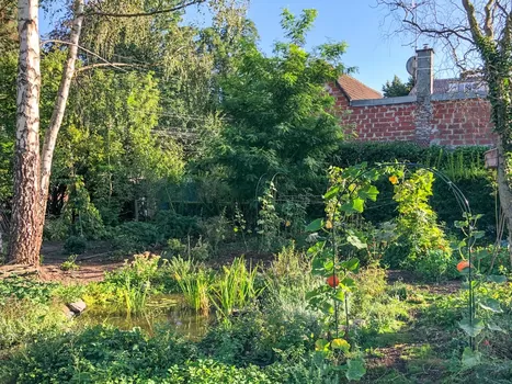 À Villeneuve-d'Ascq, on peut se former aux rudiments de la permaculture en un weekend