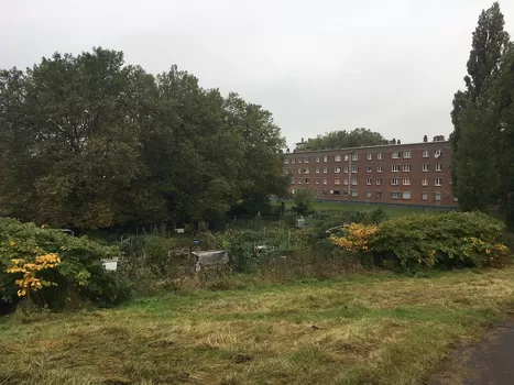 Une ferme urbaine va pousser en janvier au Faubourg de Béthune