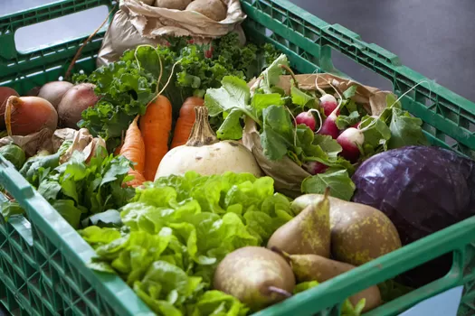 Entraid'Union propose des paniers de légumes bio en click and collect