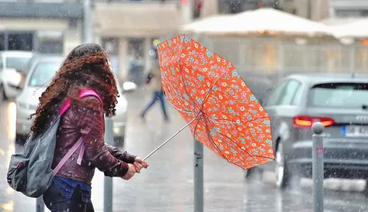 [Alerte orage] Lille ferme ses parcs et jardins ce vendredi aprem