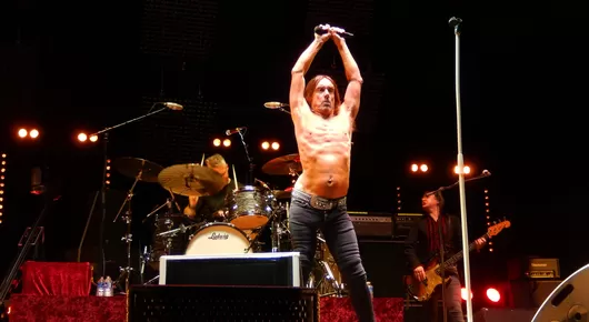 Iggy Pop sera en concert au Zénith de Lille en mai 2022