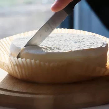 Le Petit Frenchie et ses pâtisseries en trompe-l'œil ouvre dans le Vieux-Lille