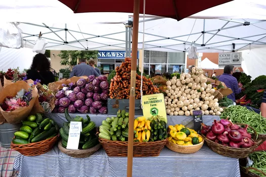 Vegans de Lille, un marché rien que pour vous se tient ce dimanche