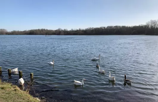 Economiser l'eau, c'est l'affaire de quelques gestes