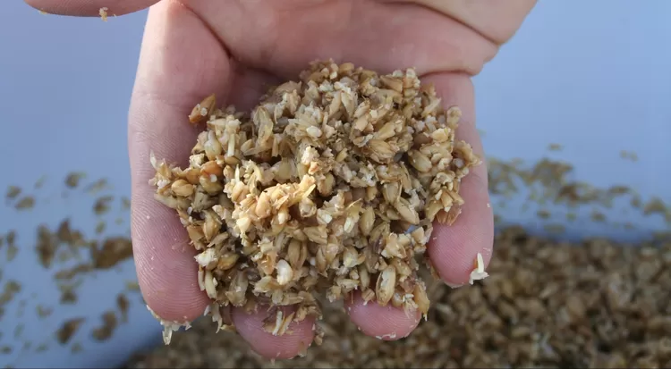 Nogashi, l'asso roubaisienne qui transforme la drèche en farine bio