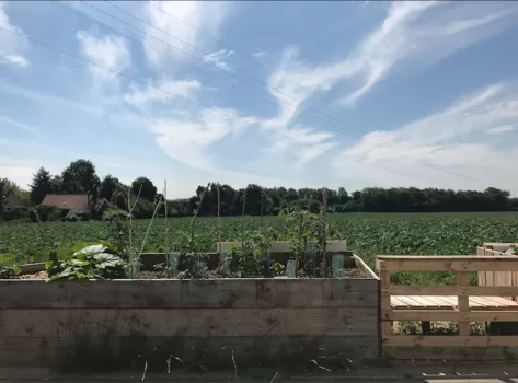 A Capinghem, le quartier du turfu se construit peu à peu