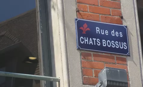 [Street corner] Rue des Chats-Bossus : le pourquoi du comment