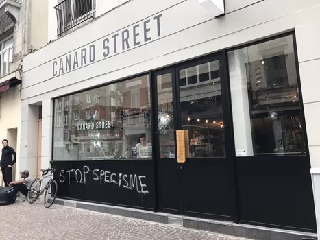 Après une boucherie et une poissonnerie, des militants vegan s'en prennent à Canard Street