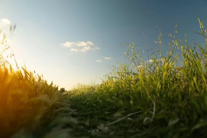 Cet été, des balades nature guidées et gratuites sont organisées dans la métropole lilloise