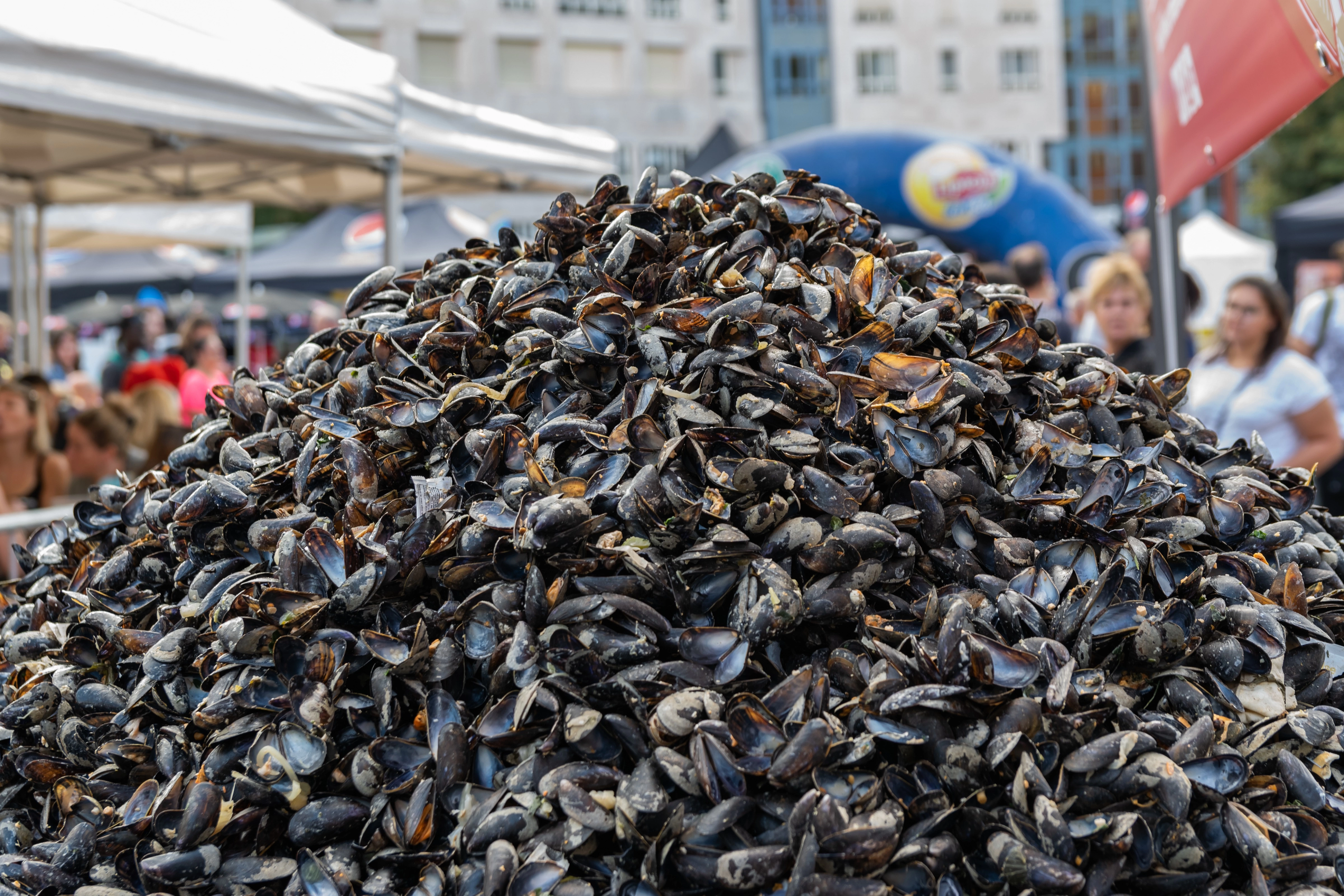 Les tas de moules font partie des choses insolites à voir.