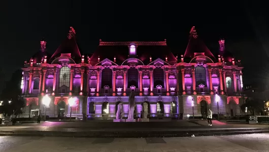 Le Palais des Beaux-Arts de Lille s'active pour Octobre rose 