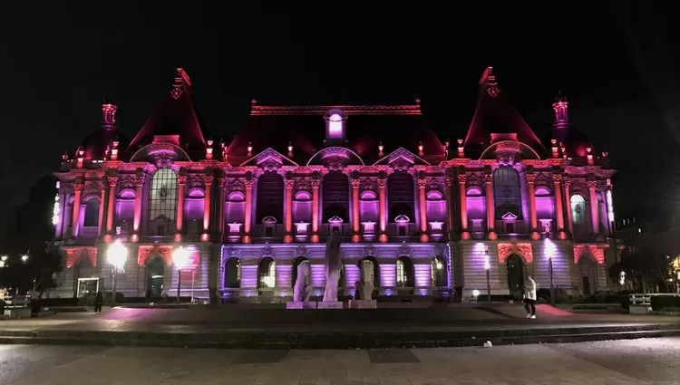 Le Palais des Beaux-Arts de Lille s'active pour Octobre rose 