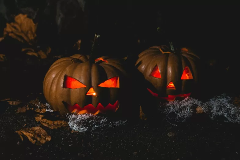 Un bal d'Halloween va faire trembler le Forest de Bondues jeudi 31 octobre