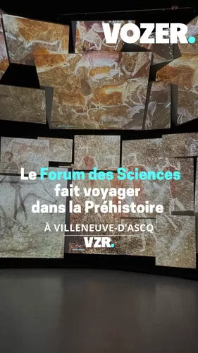 Le Forum des Sciences expose l'art dans la Préhistoire à Villeneuve-d'Ascq