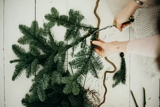 Que faire de son sapin une fois Noël passé à Lille ?